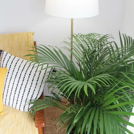 Maria Amelia | Free Indoor Parking Lissabon
